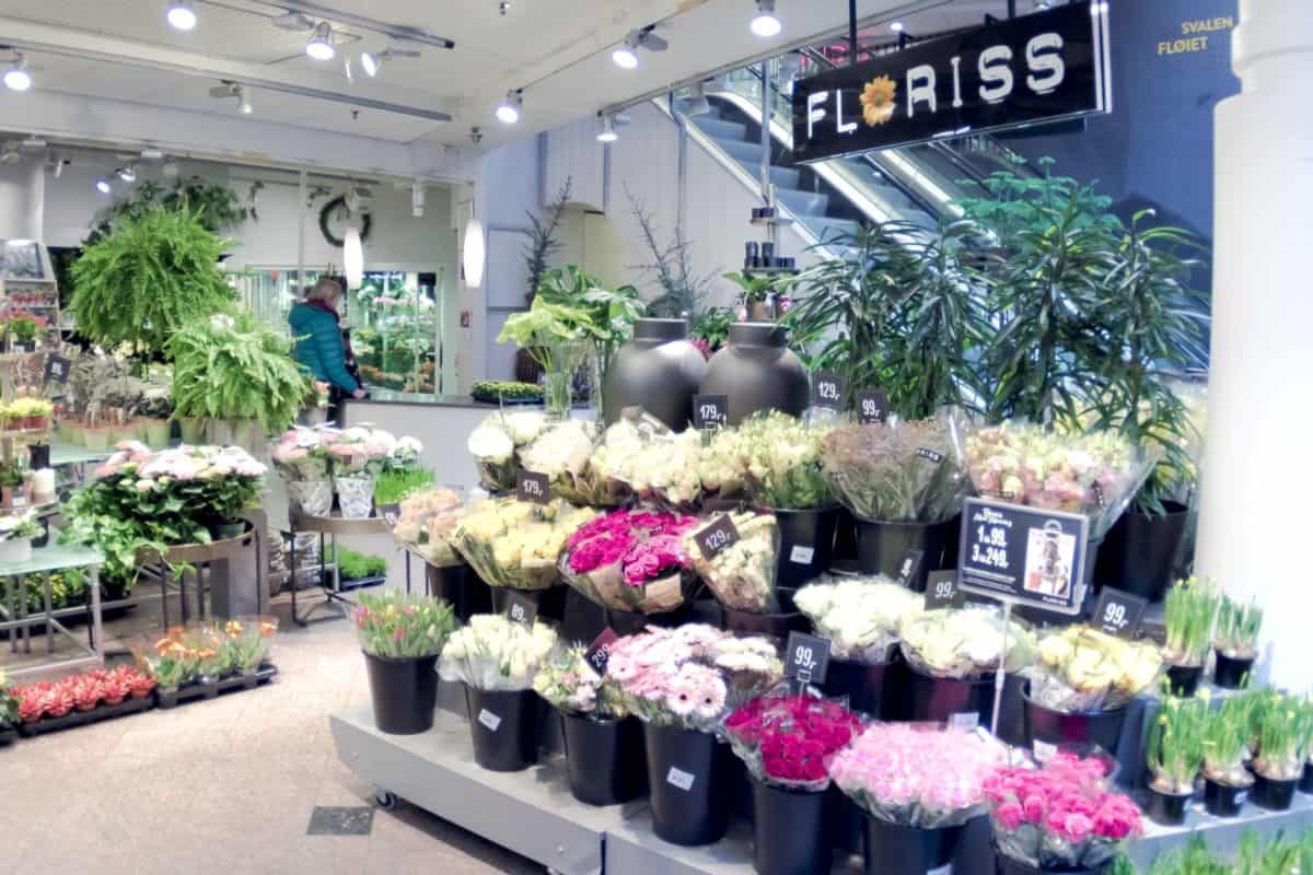 Floriss